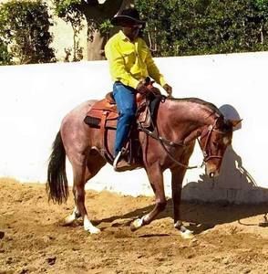 Meet your Posher, Allen